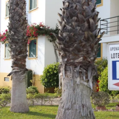 Cozy Monte Da Eira- 2 Bedroom *